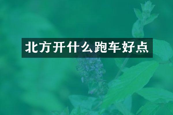 北方开什么跑车好点