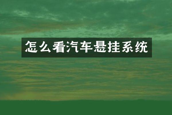 怎么看汽车悬挂系统