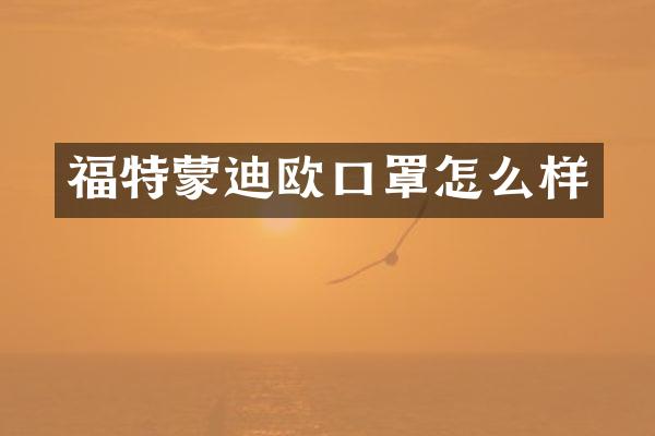 福特蒙迪欧口罩怎么样