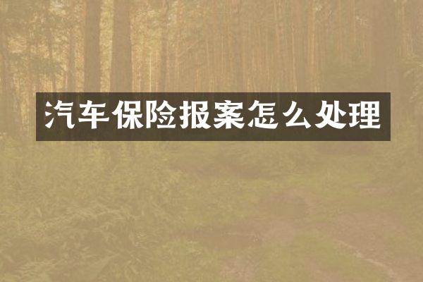 汽车保险报案怎么处理