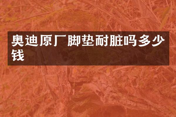 奥迪原厂脚垫耐脏吗多少钱