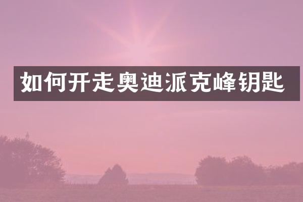 如何开走奥迪派克峰钥匙