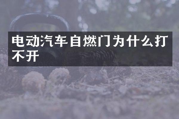 电动汽车自燃门为什么打不开