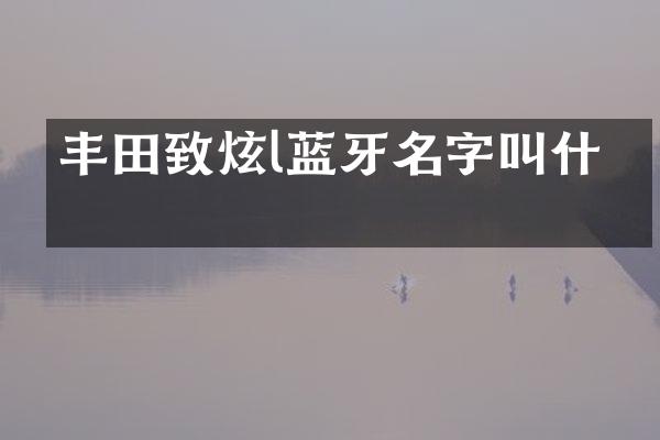 丰田致炫l蓝牙名字叫什么
