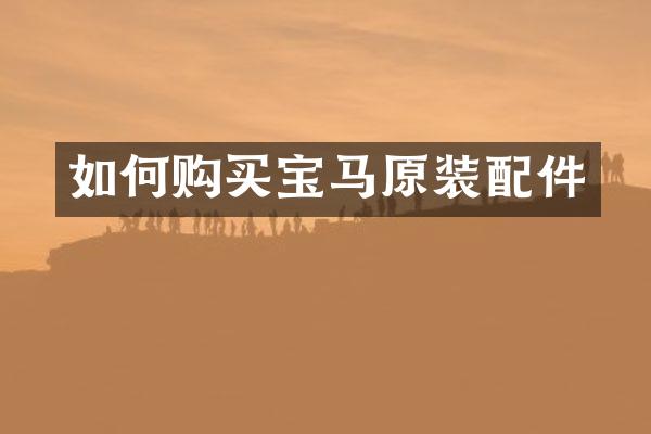 如何购买宝马原装配件