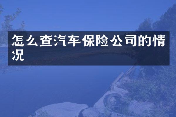 怎么查汽车保险公司的情况