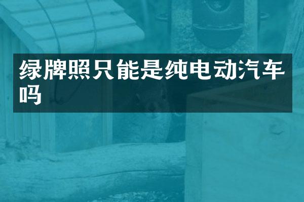 绿牌照只能是纯电动汽车吗