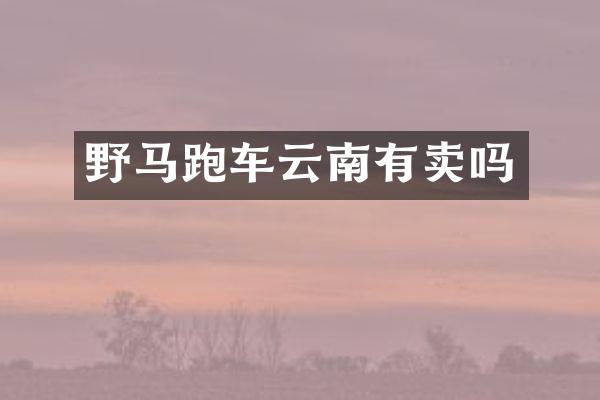 野马跑车云南有卖吗