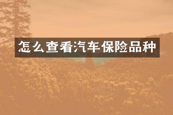 怎么查看汽车保险品种