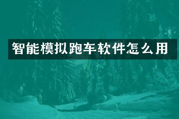 智能模拟跑车软件怎么用