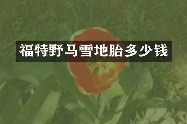 福特野马雪地胎多少钱