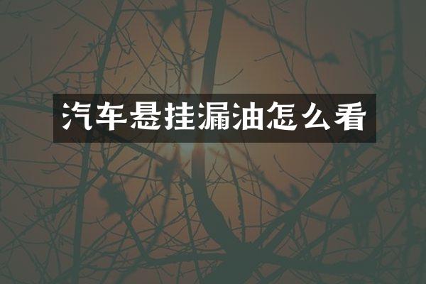 汽车悬挂漏油怎么看