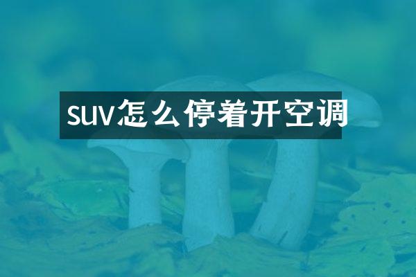 suv怎么停着开空调