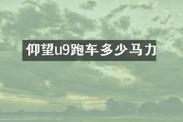 仰望u9跑车多少马力