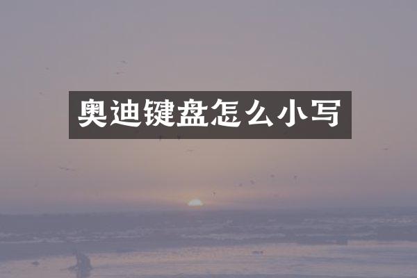 奥迪键盘怎么小写