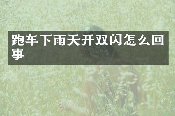 跑车下雨天开双闪怎么回事