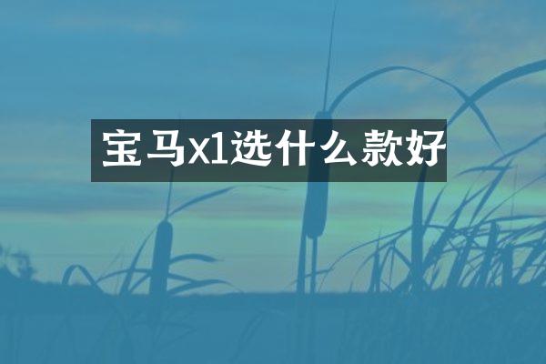 宝马x1选什么款好