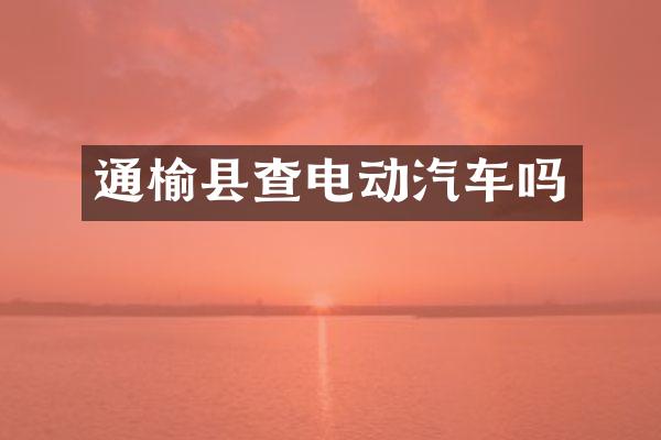通榆县查电动汽车吗