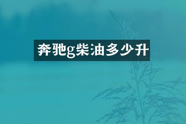 奔驰g柴油多少升