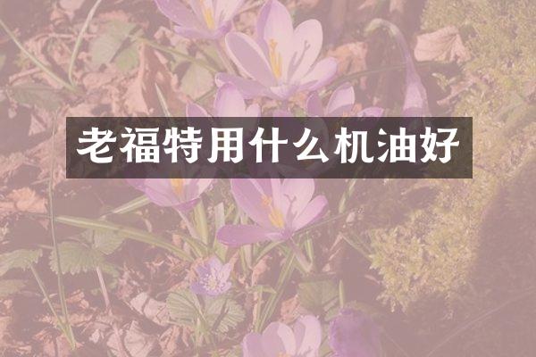 老福特用什么机油好