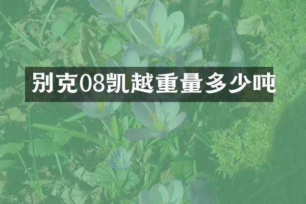 别克08凯越重量多少吨