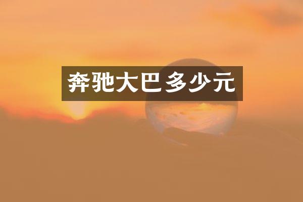 奔驰大巴多少元
