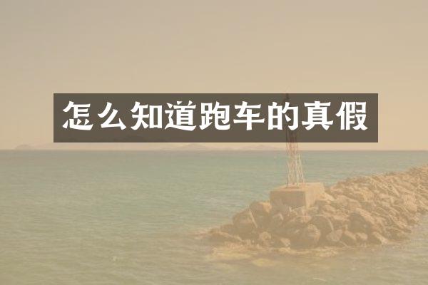 怎么知道跑车的真假
