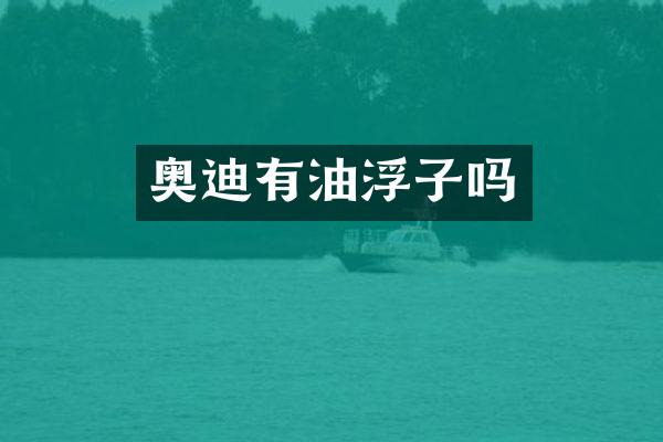 奥迪有油浮子吗