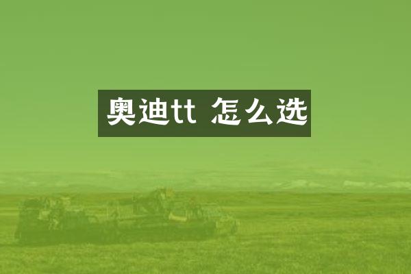 奥迪tt 怎么选