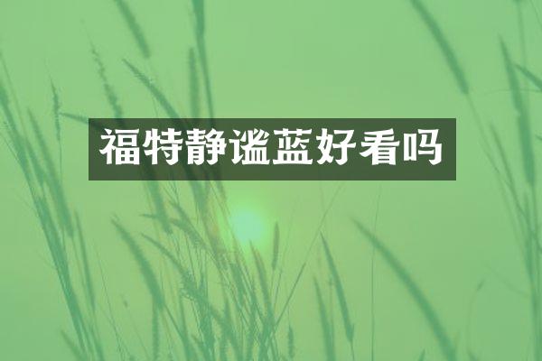 福特静谧蓝好看吗