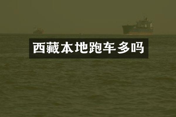 西藏本地跑车多吗