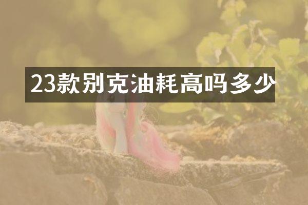 23款别克油耗高吗多少