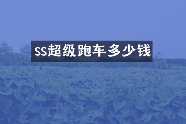 ss超级跑车多少钱