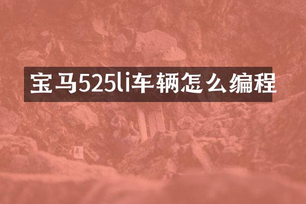 宝马525li车辆怎么编程