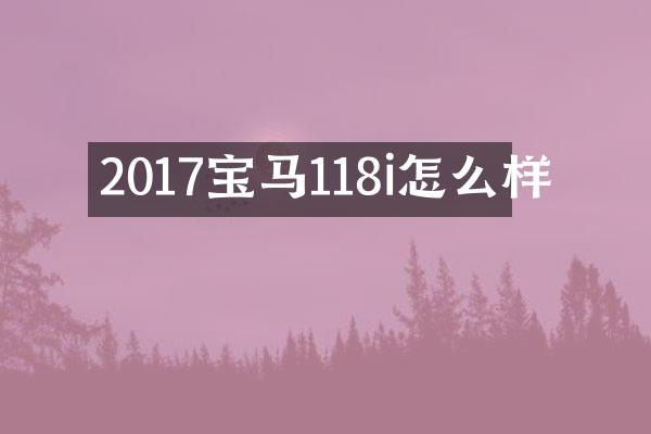 2017宝马118i怎么样