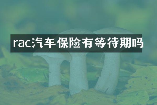 rac汽车保险有等待期吗