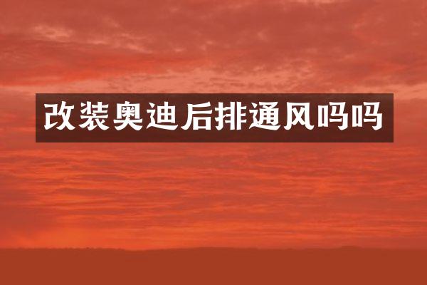 改装奥迪后排通风吗吗