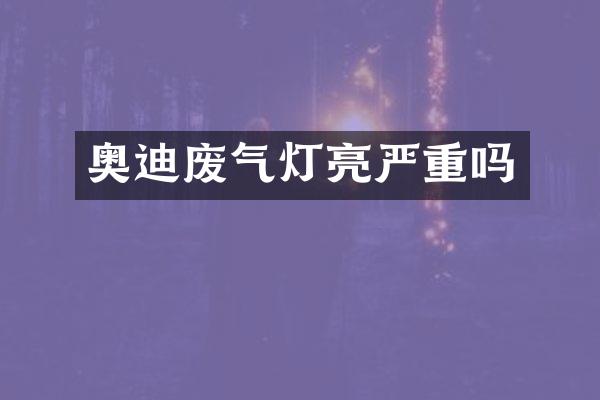 奥迪废气灯亮严重吗