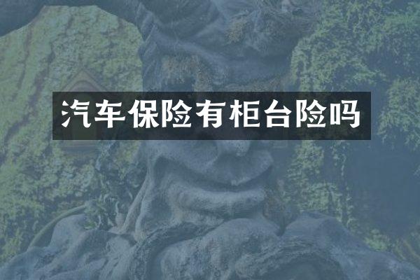 汽车保险有柜台险吗