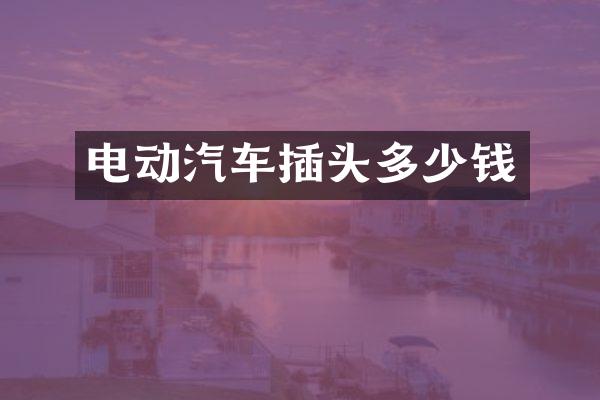 电动汽车插头多少钱