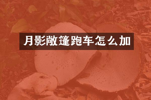 月影敞篷跑车怎么加