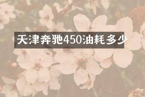 天津奔驰450油耗多少