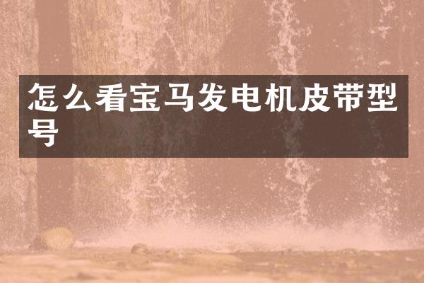 怎么看宝马发电机皮带型号