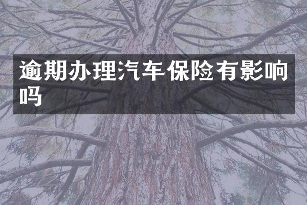 逾期办理汽车保险有影响吗