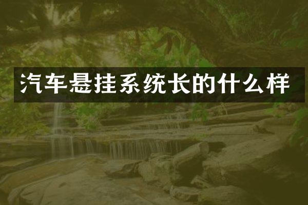 汽车悬挂系统长的什么样