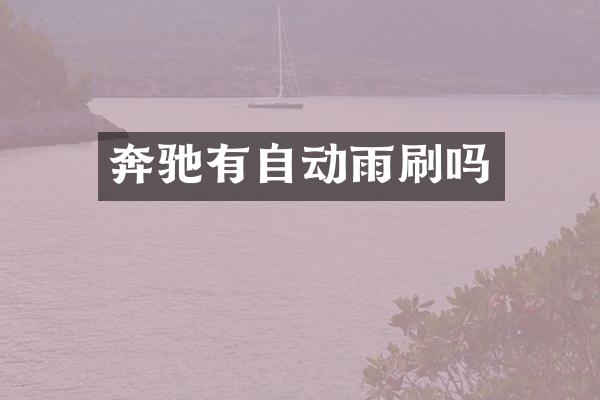 奔驰有自动雨刷吗
