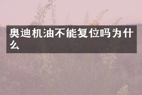奥迪机油不能复位吗为什么