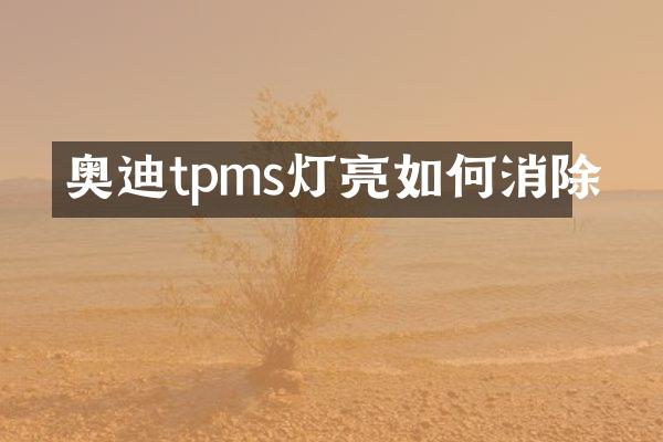 奥迪tpms灯亮如何消除