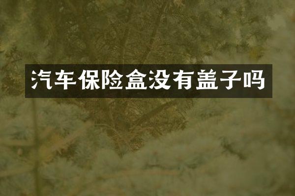汽车保险盒没有盖子吗