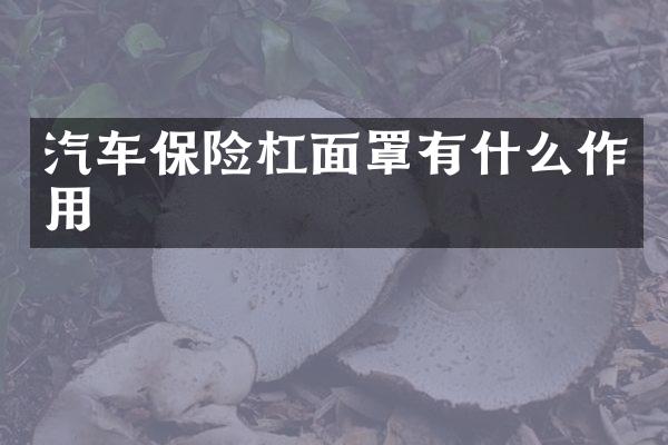 汽车保险杠面罩有什么作用